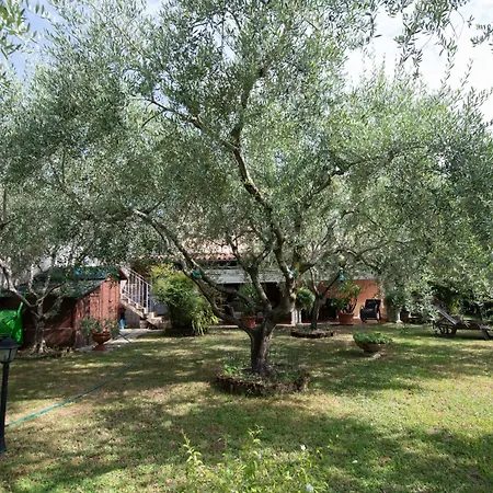 Appartement Casa Celestina *