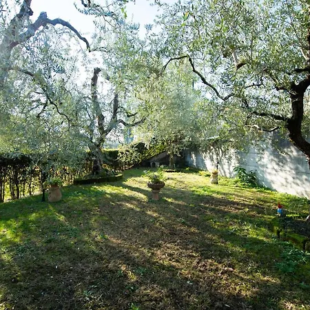 Casa Celestina *